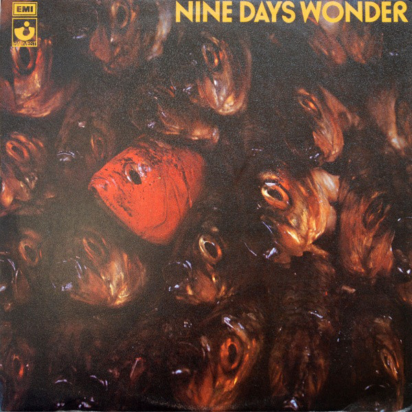 Nine Days' Wonder interview - It's Psychedelic Baby Magazine