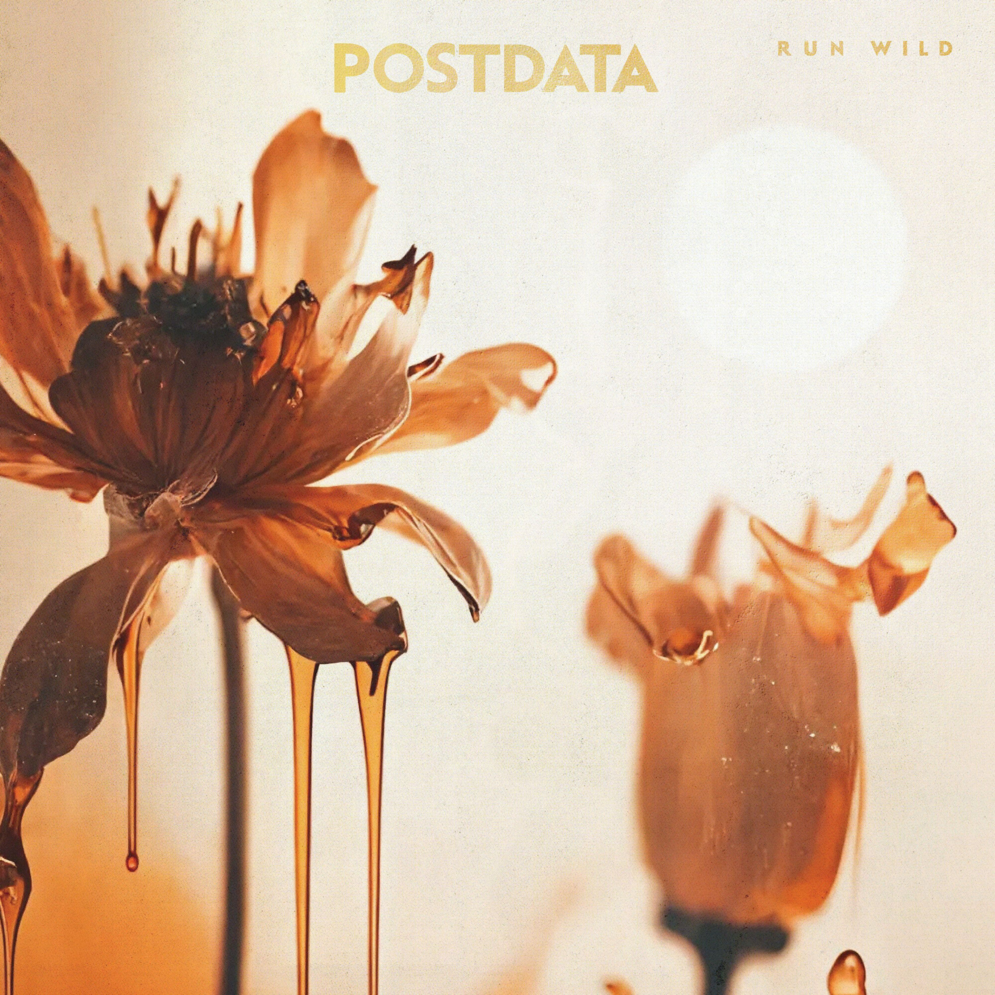 ‘Try’ by Postdata | New Album, 'Run Wild' - It's Psychedelic Baby Magazine